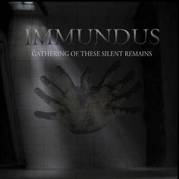 Gathering Of These Silent Remains cover art