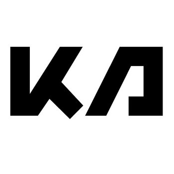 Ringer cover art