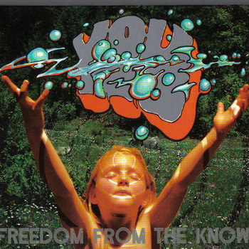 YOU: Freedom From The Known cover art