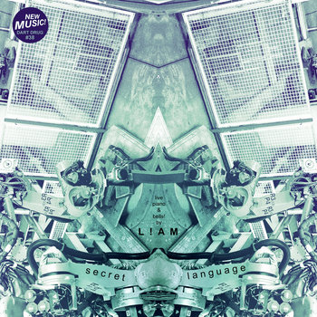 Secret Language cover art