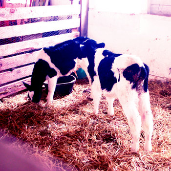 Tease cover art