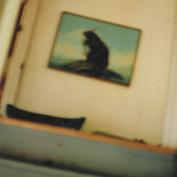 Summer two thousand and ten demos cover art