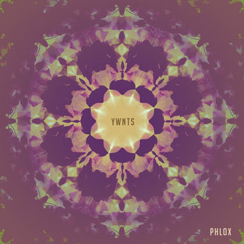 Phlox YWNTS