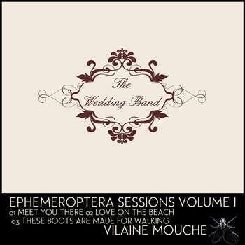 Ephemeroptera Volume 1 cover art