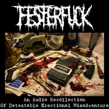 An Audio Recollection Of Detestable Erectional Misadventure cover art