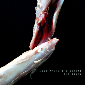 The Frail cover art