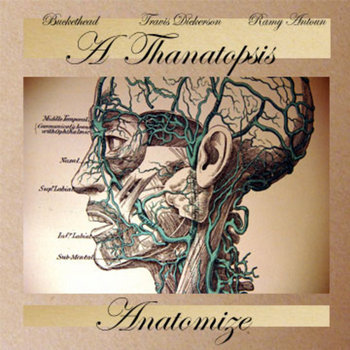 Anatomize cover art