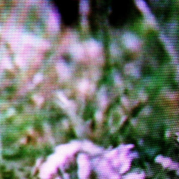 Vitund cover art