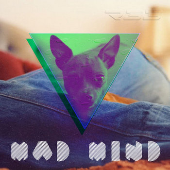 MadMind cover art
