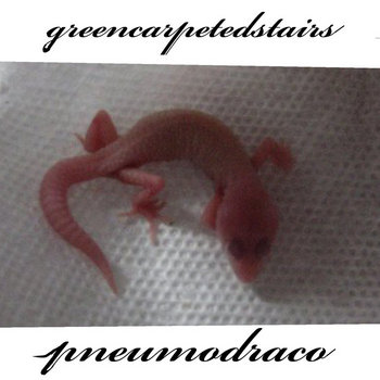 Pneumo Draco cover art