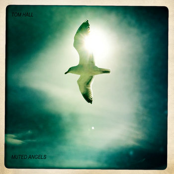 Muted Angels cover art