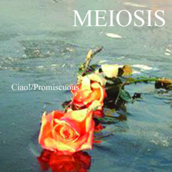 Ciao! / Promiscuous cover art