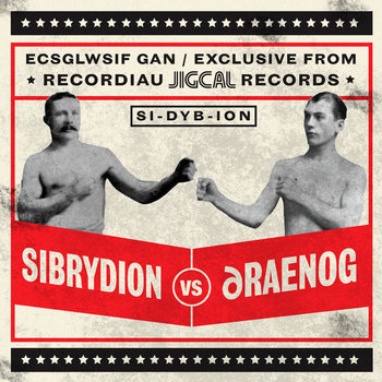 Sibrydion v Draenog cover art