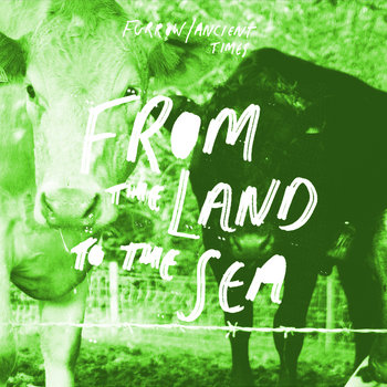 From The Land To The Sea cover art