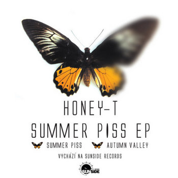 Honey T - Summer Piss EP cover art