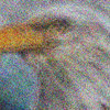 a4063039761_3.jpg