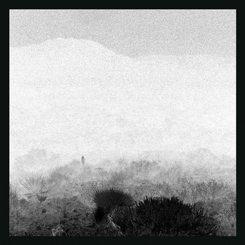 Drink The Sun cover art