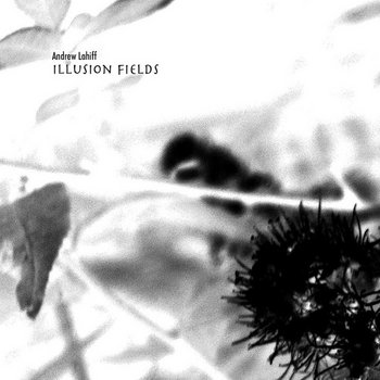 Illusion Fields cover art