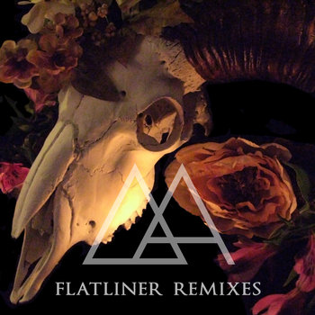 FLATLINER Remixes cover art