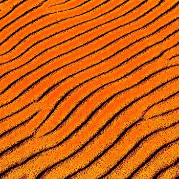 Vague acoustique cover art