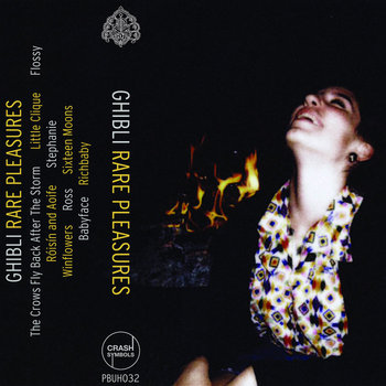 Rare Pleasures cover art
