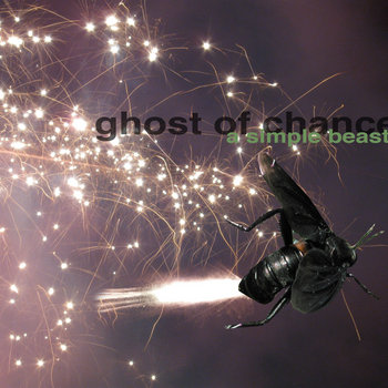 A Simple Beast cover art