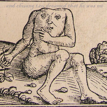 ...and chuang tzu dreamed that he was me cover art