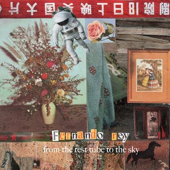 From the test tube to the sky cover art