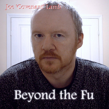 Beyond the Fu cover art