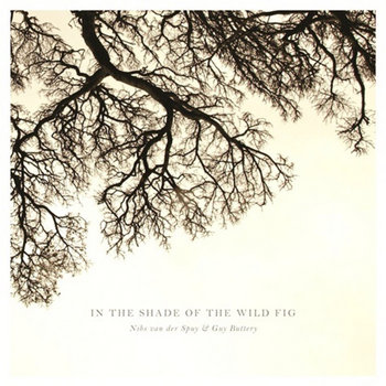 In The Shade Of The Wild Fig cover art