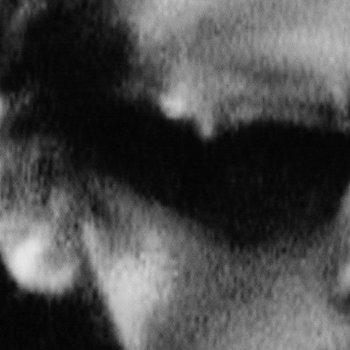 Cassavetes Is A Shadow Song cover art