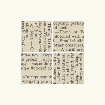 Verse of Birds cover art