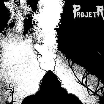 Projet RL - Demo 2011 cover art