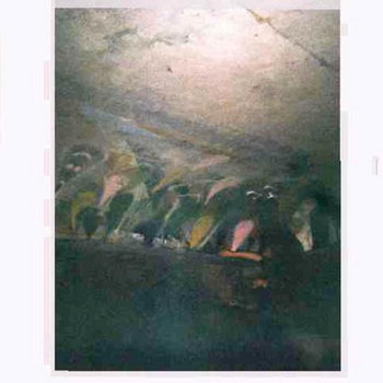 1993 cover art