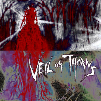 Veil of Thorns cover art