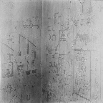 The Disaster Began During... cover art