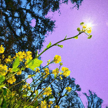 Lay Down In The Flower Bed cover art