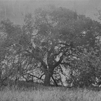 +33° 58' 41.85", -117° 49' 13.74" (The Oak Tree) cover art