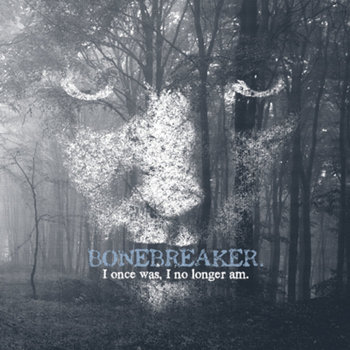 I Once Was, I No Longer Am cover art