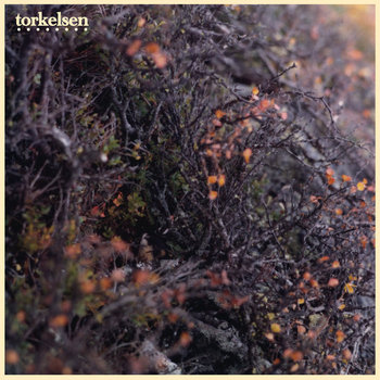 Torkelsen cover art