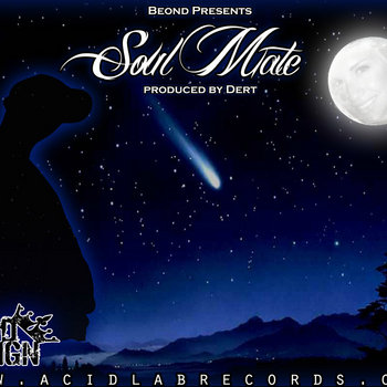 Soul Mate cover art