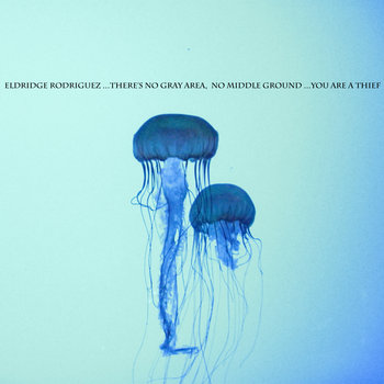 There's No Gray Area, No Middle Ground... You Are A Thief cover art