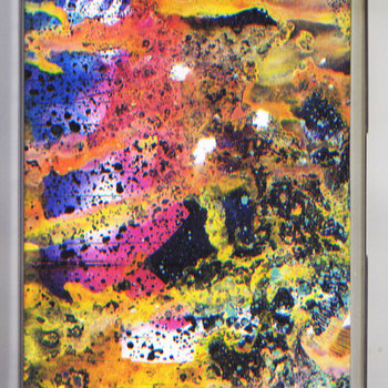 Morphing Nature cover art