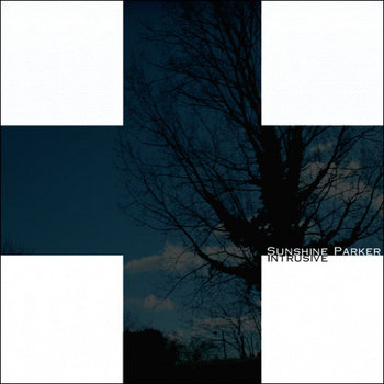 SUNSHINE PARKER - Intrusive cover art