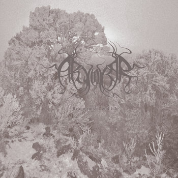 Fragments of Solitude cover art