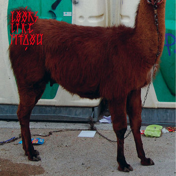 Limited Vinyl LP - 200 copies