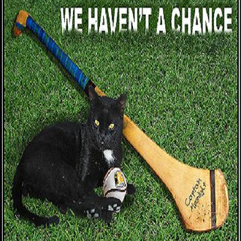 We haven't a chance cover art