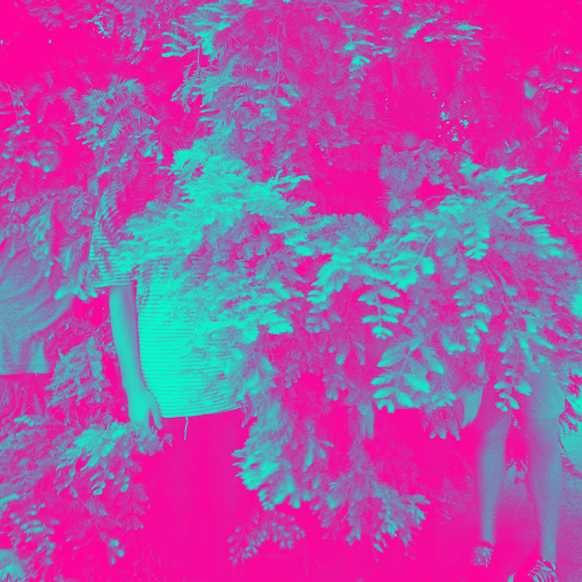 Flower Orgy