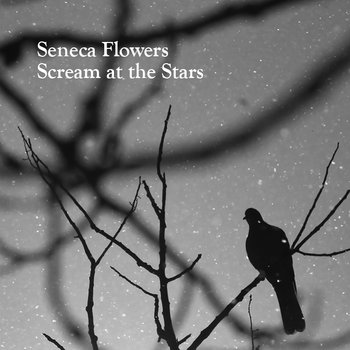 Scream at the Stars cover art