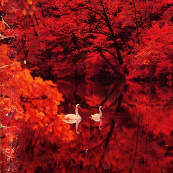 Red Favorite cover art